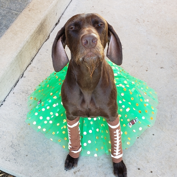 Meet your Posher, Crystal - Picture 8 of 15